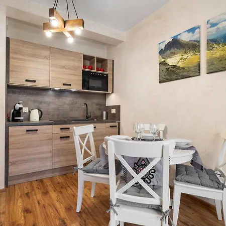 Rentplanet - Luksusowe Apartamenty Goszczynskiego Zakopane Exterior photo